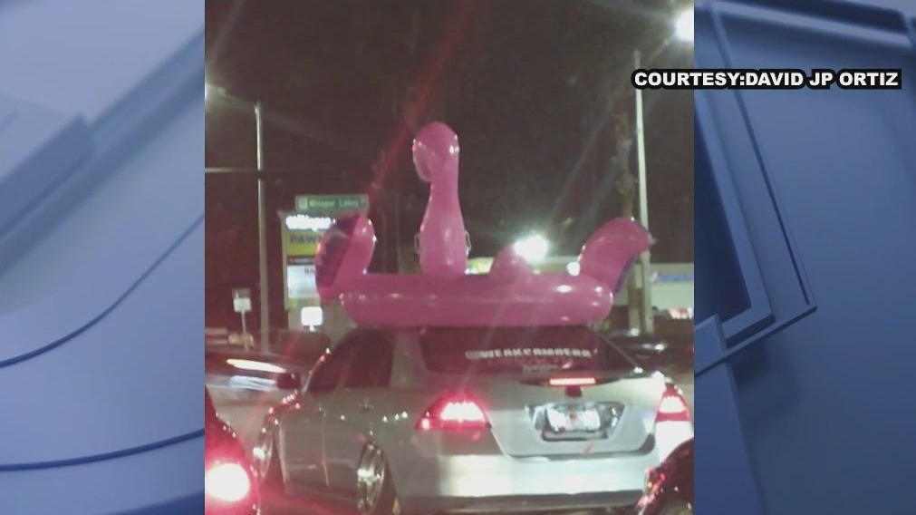 Video: Giant, inflatable flamingo spotted on roof of car in Orlando